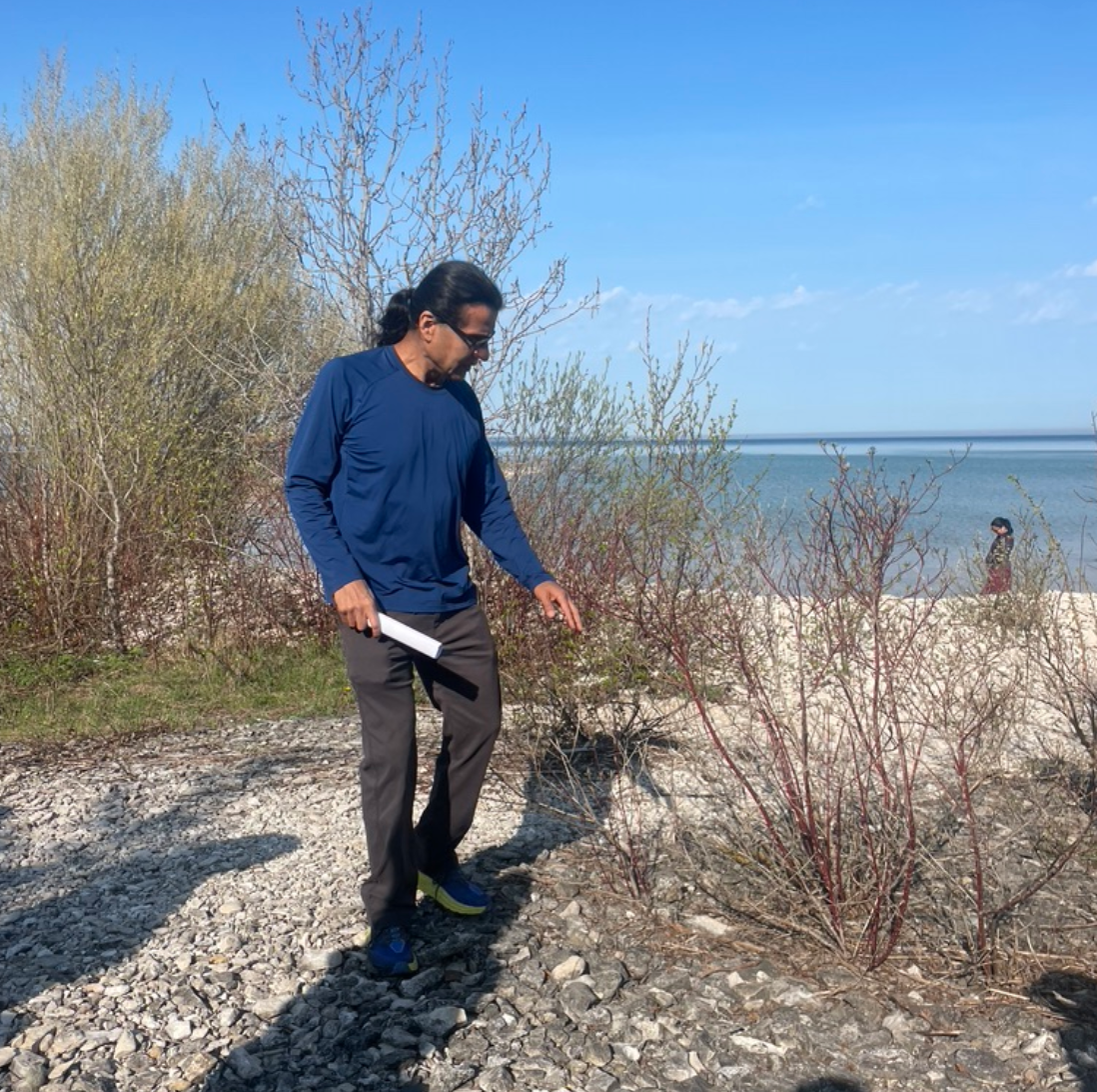 A man with a pony tail in a navy blue shirt, long pants and sneakers looks at plants while walking along a rocky path near the water.